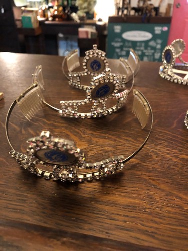 BRIDAL WEDDING FLOWER GIRL PROM PAGEANT TIARA CRYSTAL CZ