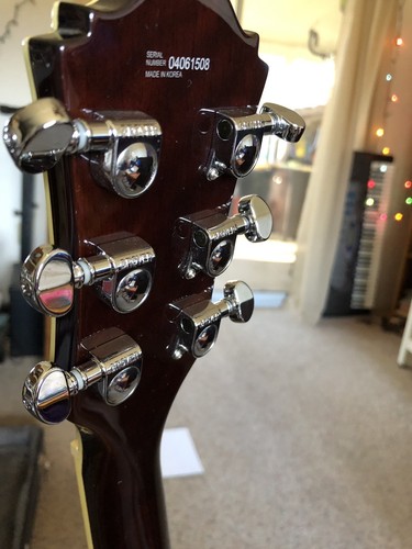 Malden Karma Electric Guitar