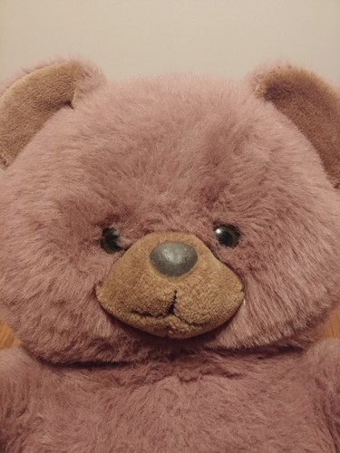 Big brown teddy bear 31inch tall made exclusivley for Teddies Overnight LTD