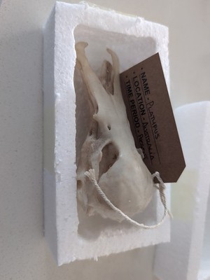 Objectfoto('s) van geverifieerde koper