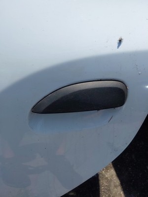 SPORTELLO PORTA POSTERIORE SINISTRA DACIA SANDERO STEPWAY 1 SERIE 2011