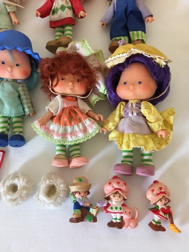 Vintage Lot Of Strawberry Shortcake Dolls And Pets 1979