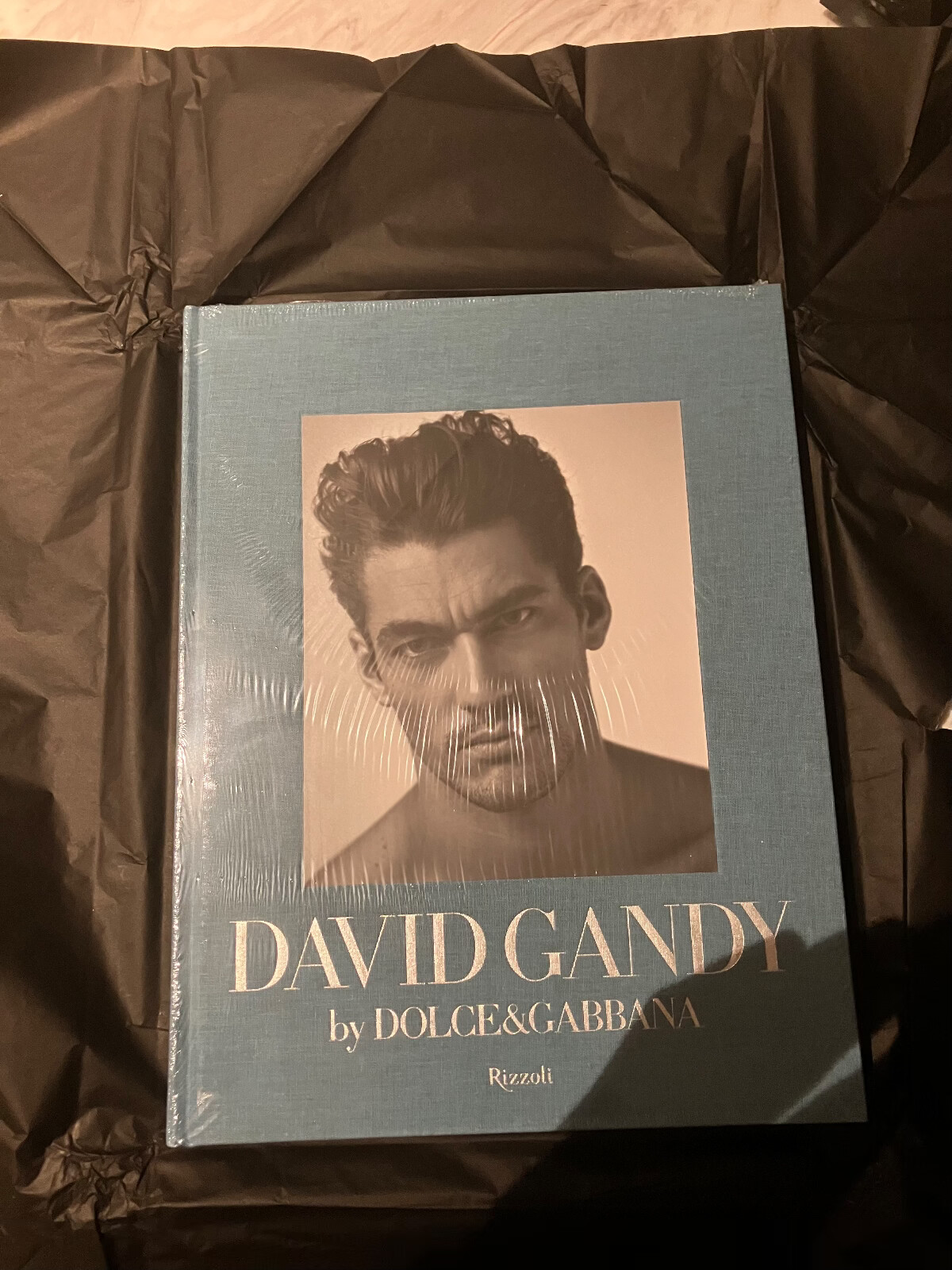 アート・デザイン・音楽 DAVID GANDY by DOLCE&GABBANA アート・デザイン・音楽 DAVID GANDY by DOLCE&GABBANA アート