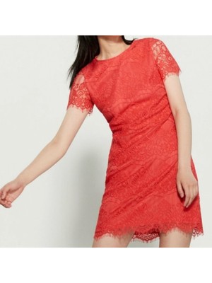 

Женское коралловое платье-футляр KENSIE с фестонами и короткими рукавами длиной выше колена, Коралл