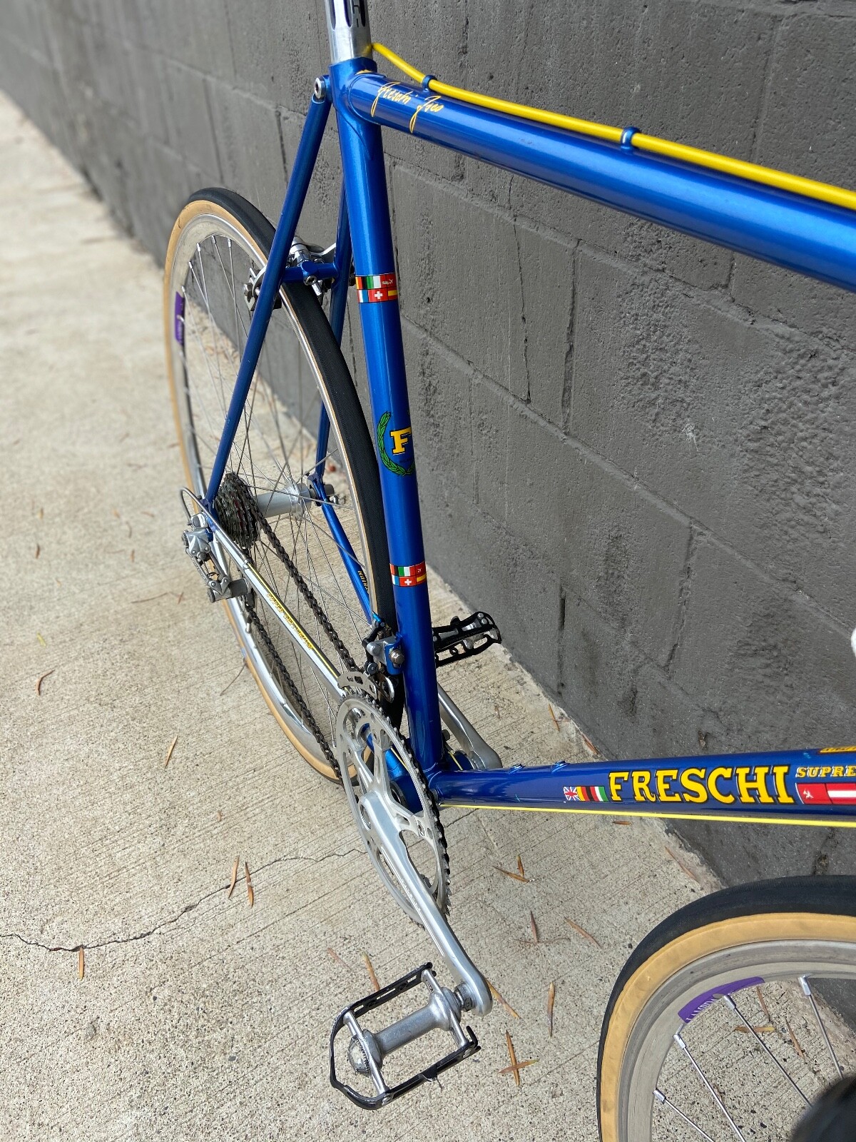 1980's Freschi Supreme Super Criterium Vintage Steel Road Bike Camapagnolo 55cm