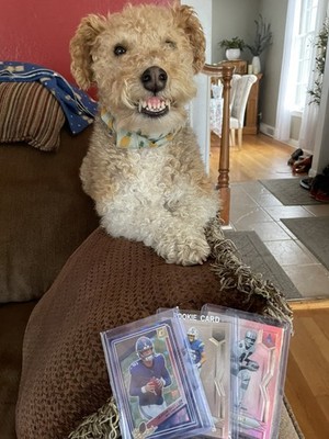 Item photo(s) from verified buyer