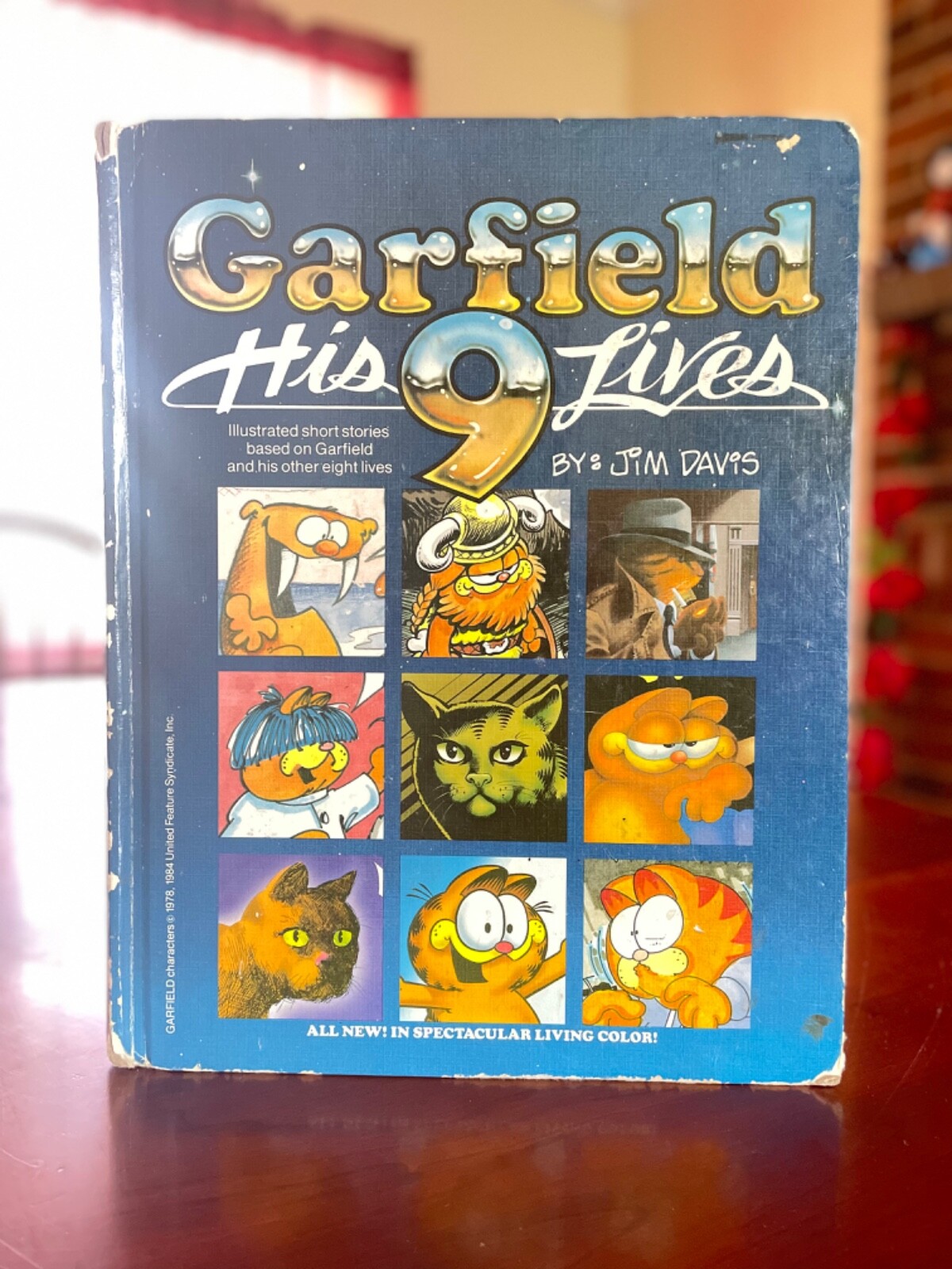 Garfield His 9 Lives Short Stories Illustrated by Jim Davis