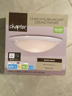 Light Fixture / Home Improvement/ Chapter 12 In Flush Mount Ceiling Fixture