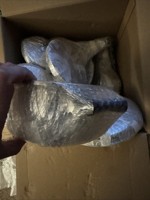 Foto dell'oggetto di un acquirente verificato