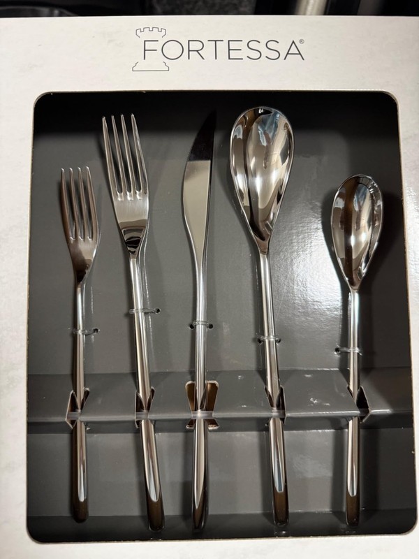 Fortessa Dragonfly 18/10 Stainless Steel 20-Piece Flatware Set...