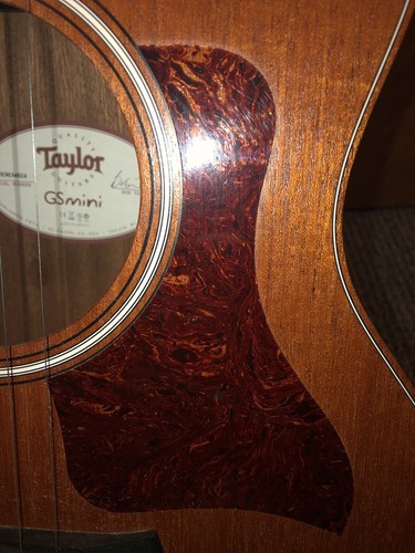 Gsmini taylor Acoustic Guitar. Mahogany Top, And Price Is Negotiable!
