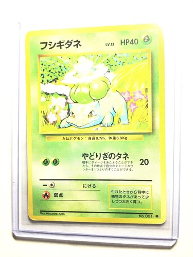 PSA10 フシギダネ 1 旧裏 マークなし Bulbasaur Base PSA10 フシギダネ 1 旧裏 マークなし Bulbasaur Base