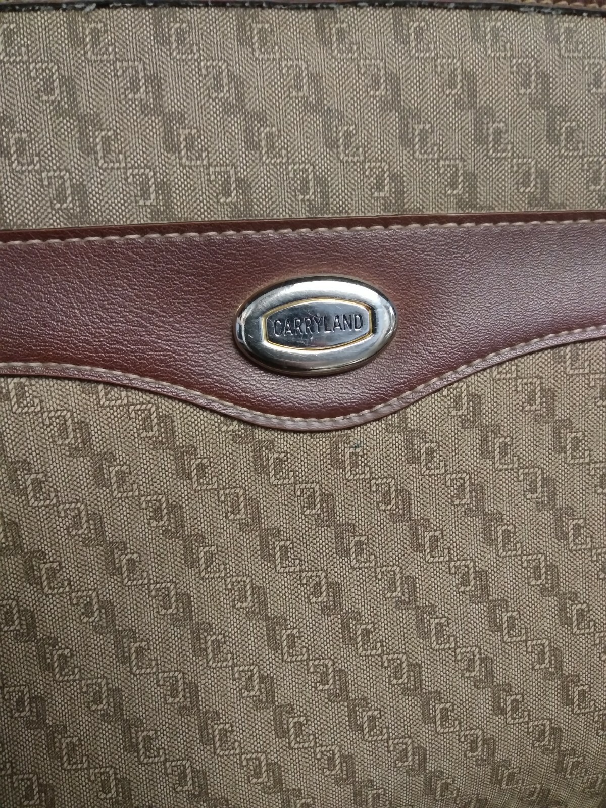 vintage carryland purse