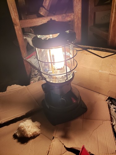Coleman Coleman North Star Tube Mantle Lantern Approximately