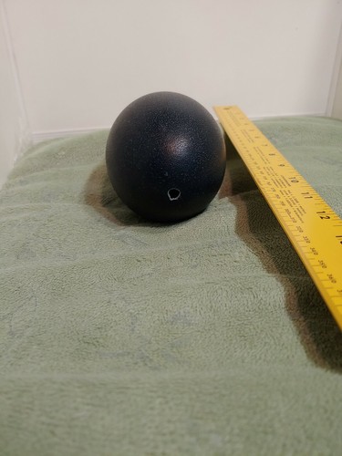 Emu Egg Shell EMPTY Blown Out Craft