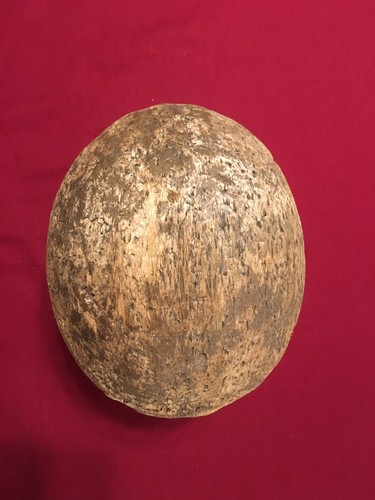 ANTIQUE MILLINERY HAT BLOCK MOLD FORM STAND WOOD CORK VINTAGE 22 1/2 Hermès?