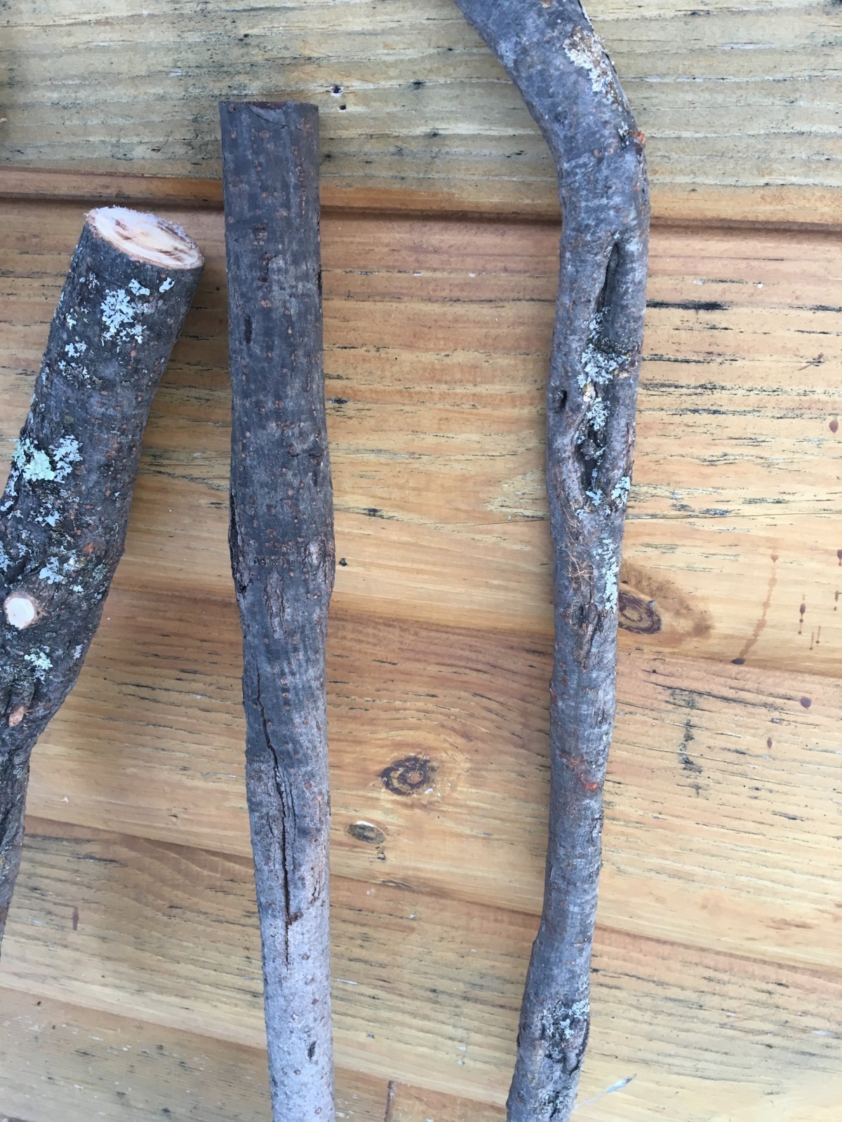 7 Original Diamond Willow walking sticks cane trekking unique 54