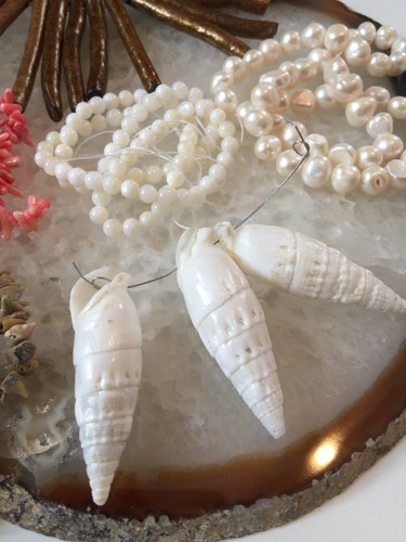 Beads Bamboo Coral,  Freshwater Pearls, Shell , Natural - 6 St