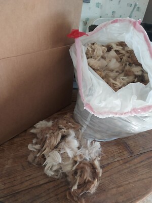 Alpaca raw fiber 2nds light fawn