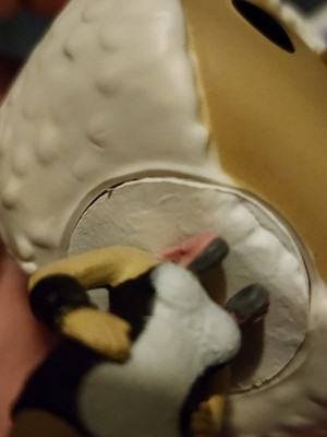 Item photo(s) from verified buyer