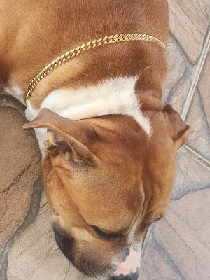 Objectfoto('s) van geverifieerde koper