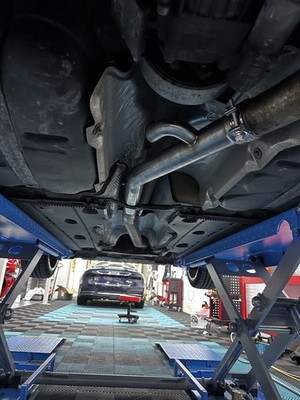 Fotos del artículo de un comprador verificado