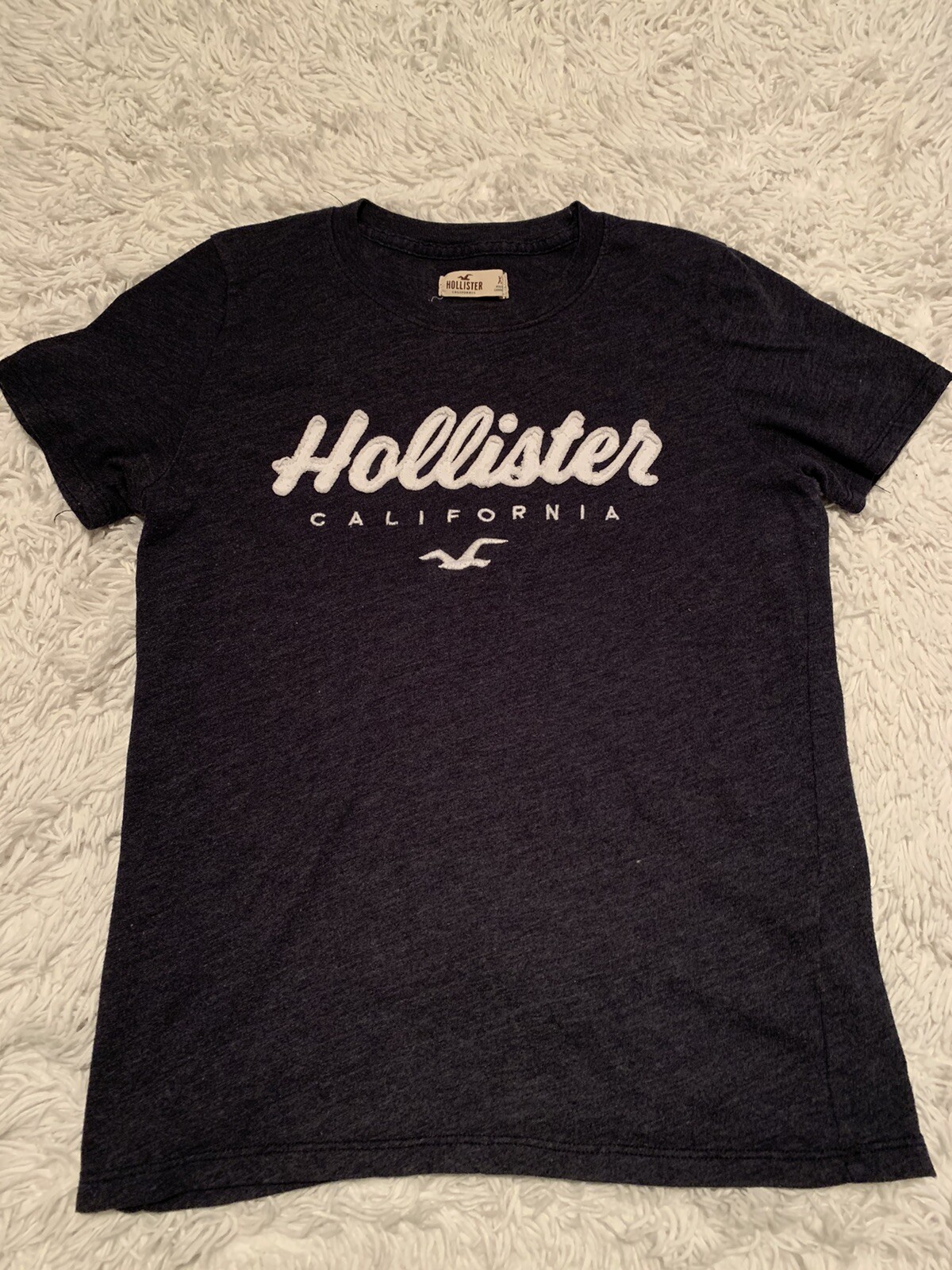 hollister xs