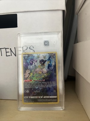 Photos de l'objet d'un acheteur vérifié