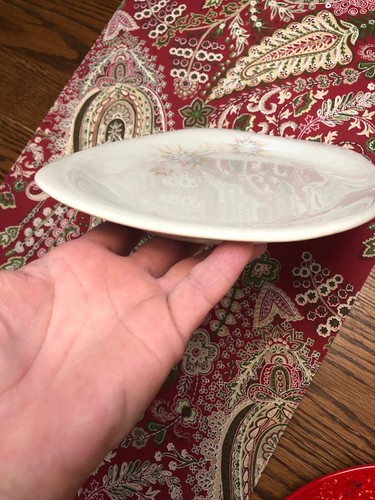 Impromptu Fine China Iriquois Ben Seibel Design