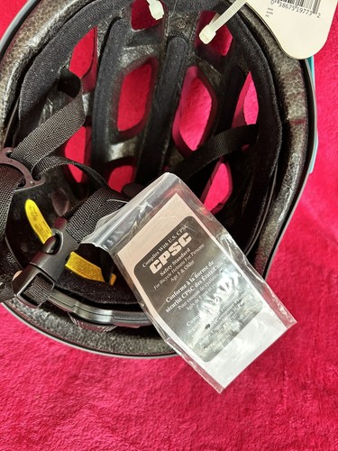 Schwinn Adult (14+) Bike Helmet