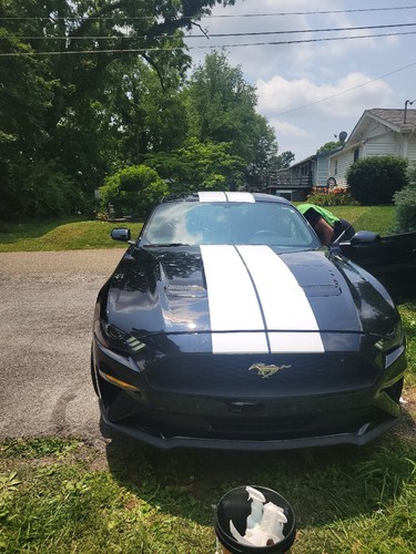 Artikelfoto(s) von einem verifizierten Käufer