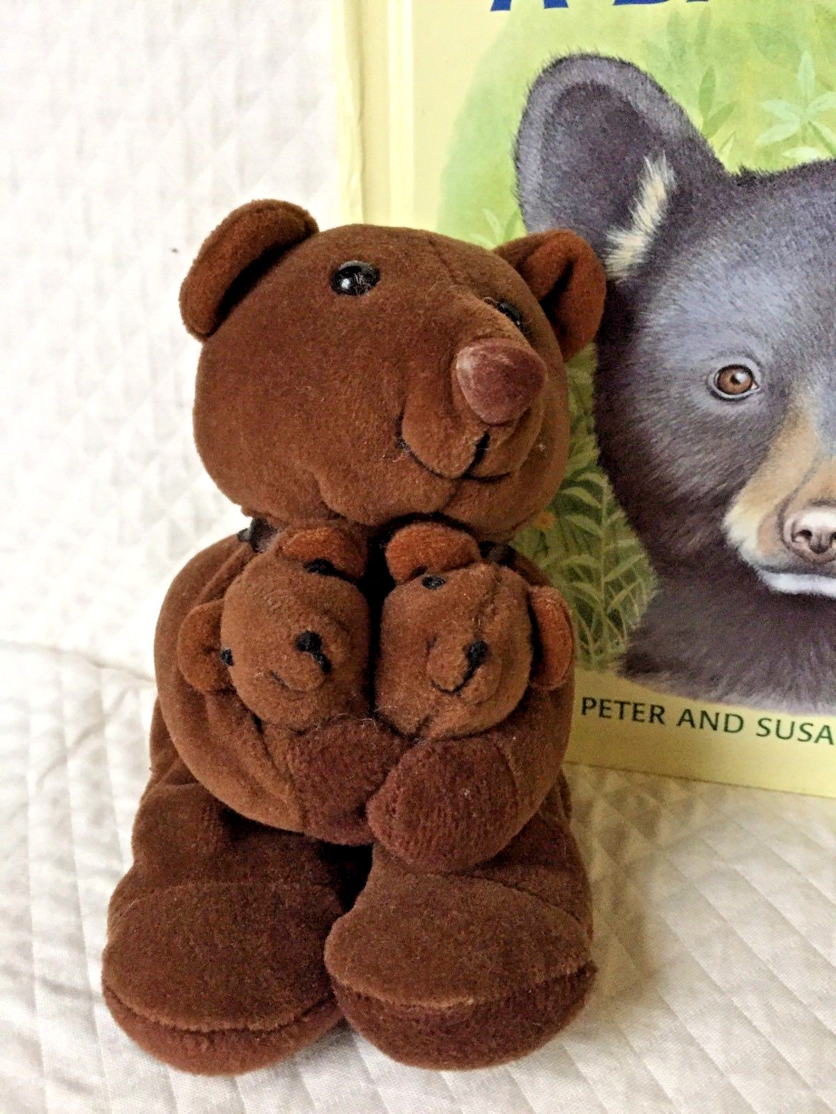Mother bear & babies plush  +  A Day In the Life of a Baby Bear by P.& S. Barret