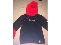 supreme and champion hoodie