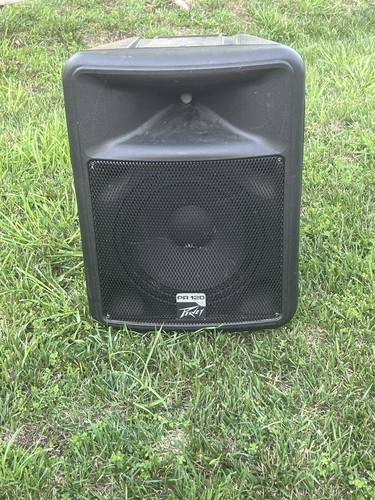 佐渡宿泊素泊まり　Peavey PR15 スピーカー 　国内希少 Peavey PR15 2-Way Portable PA Speaker with 15