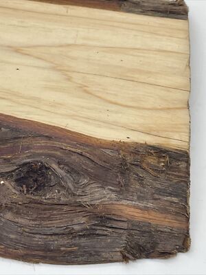 Cypress Live Edge Mini Slab Knife Display Pen Turning Blank Craft Art