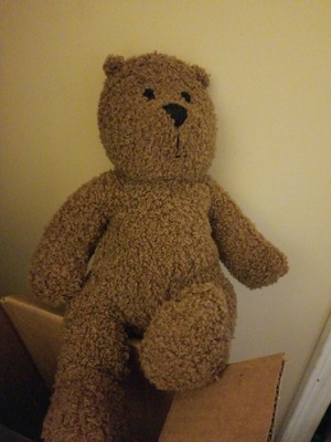 gap teddy bear