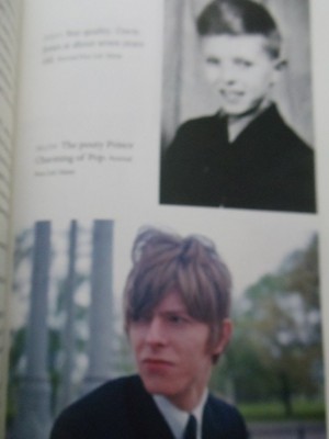 ~~ BOWIE ~ THE BIOGRAPHY ~ HARDBACK ~ GREAT BOOK! ~ LAST ONE! ~~