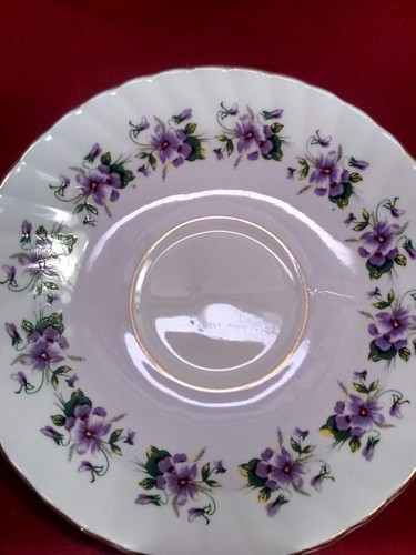 Antique Rosina Fine Bone China Teacup and Saucer Set (Made in England)