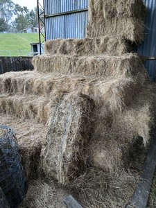 Small square hay bales | Livestock | Gumtree Australia South Gippsland