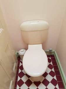 caroma slimline toilet