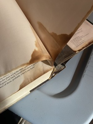 Artikelfoto(s) von einem verifizierten Käufer
