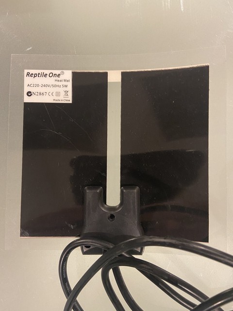 reptile one heat mat