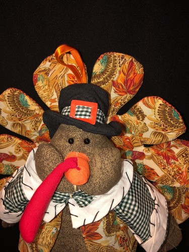 Plush Pilgrim Turkey Thanksgiving Decor EUC Free Shipping Hanging Or Sitting