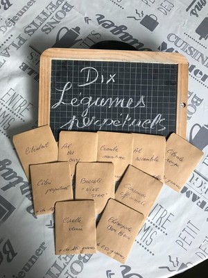Lot de 10  sachets de graines de légumes perpétuels non traités, idée cadeau