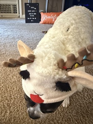 Artikelfoto(s) von einem verifizierten Käufer