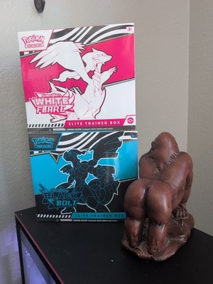 Pokemon Black Bolt and White Flare Elite Trainer Box ETB Set