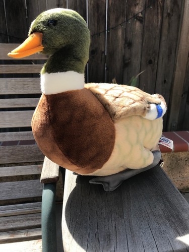 Hansa Plush Mama Duck - 14” New Portraits Of Nature