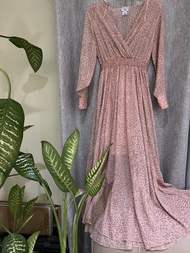 Alexa B Nites Dress Women Size 4 Maxi Shimmery Sheer Pink