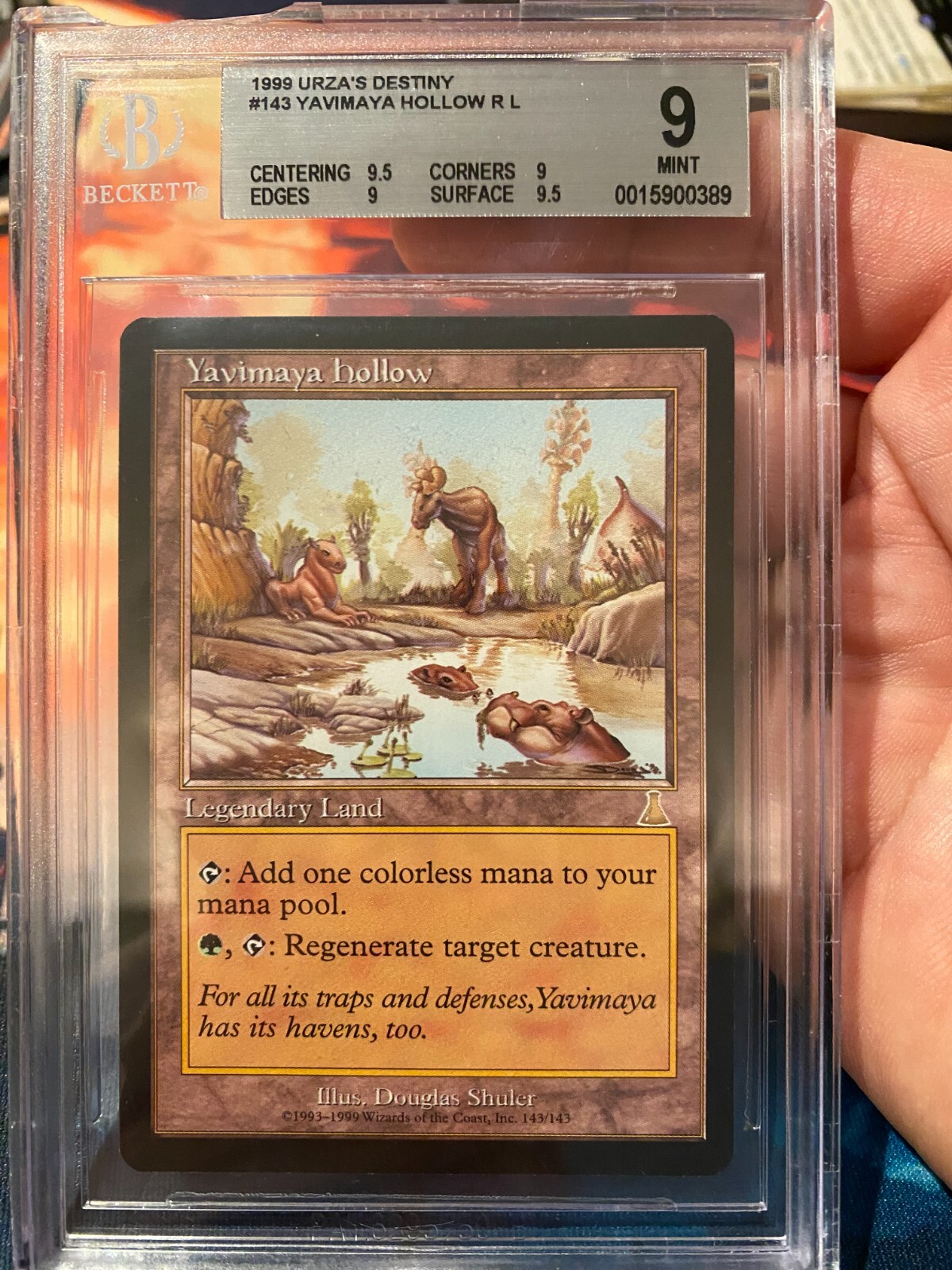 MTG 英語 Yavimaya hollow Amazon.com: Yavimaya Hollow : Toys & Games