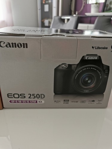 Canon EOS 250D 24.1MP DSLR-Kamera - Schwarz (Kit mit Yongnuo YN 50mm F1. 8
